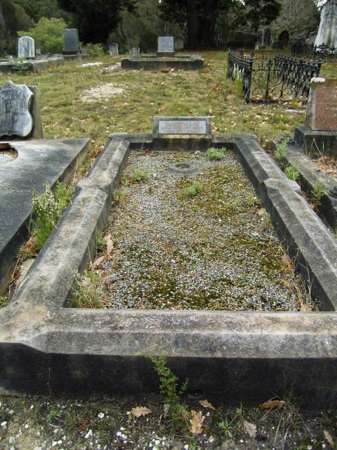Full-size image