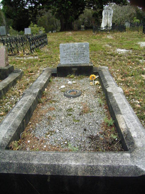 Full-size image