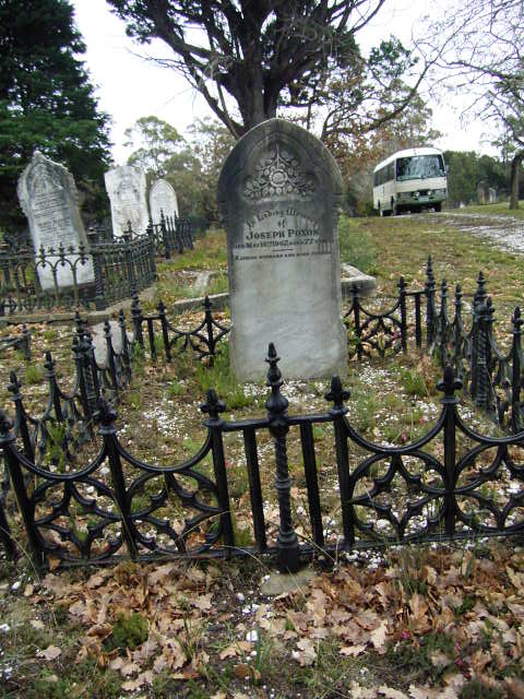 Full-size image