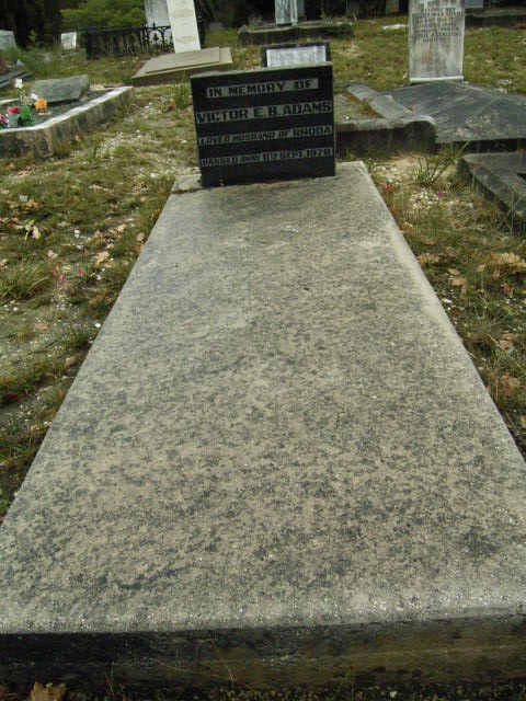 Full-size image