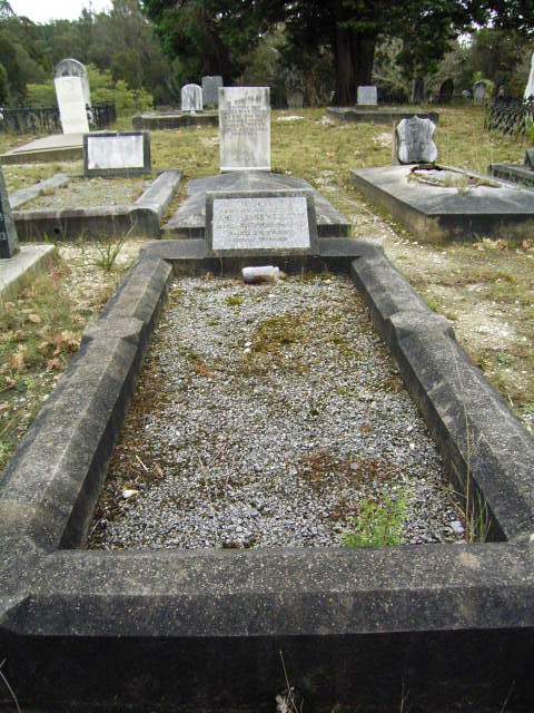 Full-size image