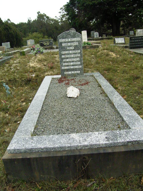 Full-size image