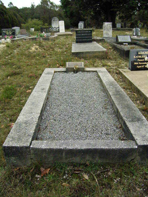Full-size image