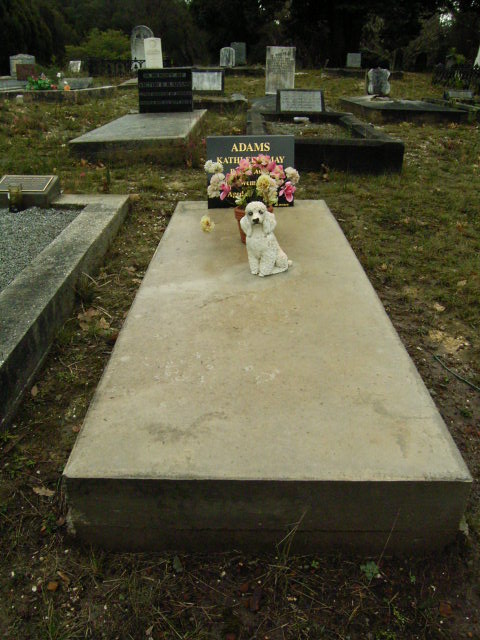 Full-size image