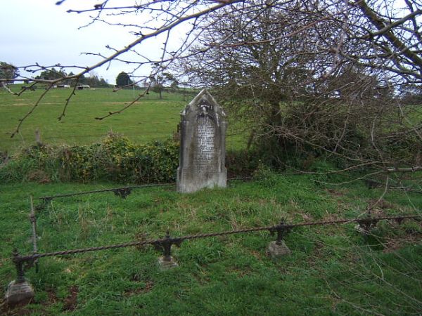 Full-size image
