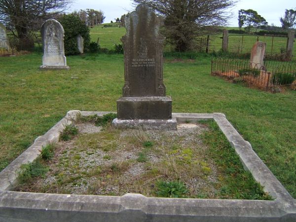 Full-size image