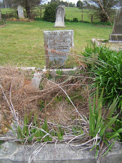 Full-size image