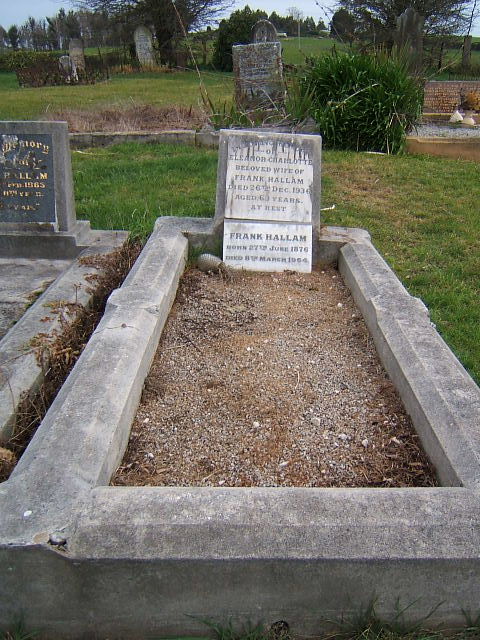 Full-size image
