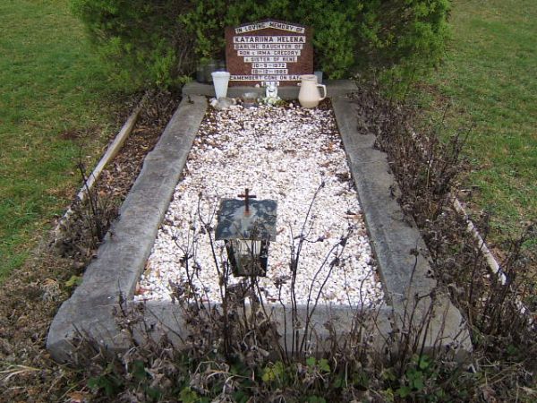 Full-size image