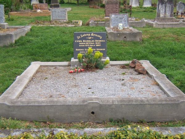 Full-size image