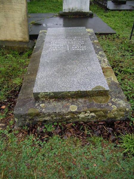 Full-size image