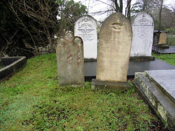 Full-size image