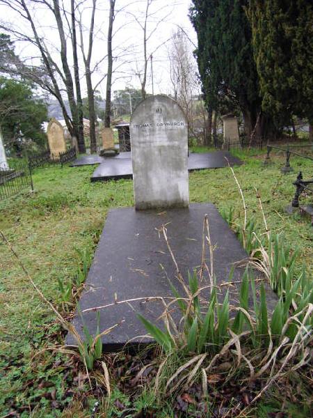 Full-size image