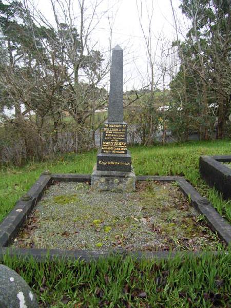 Full-size image