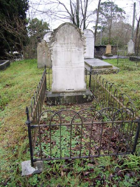 Full-size image