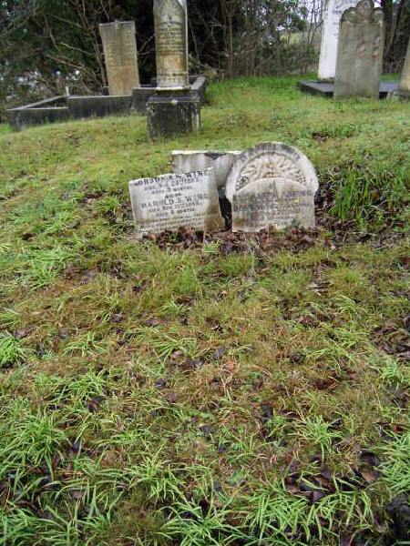 Full-size image