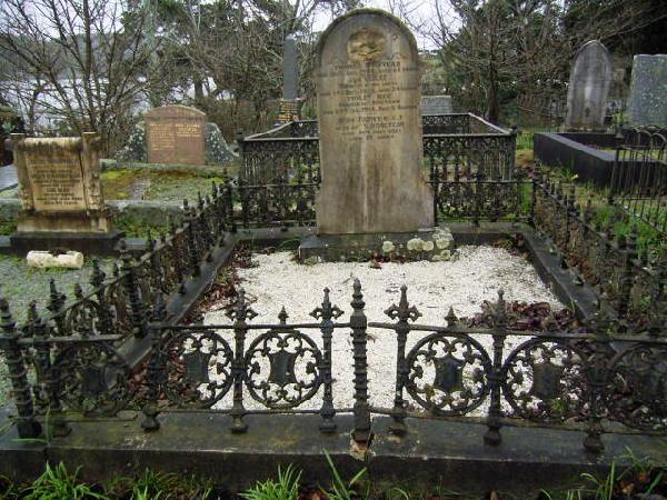 Full-size image