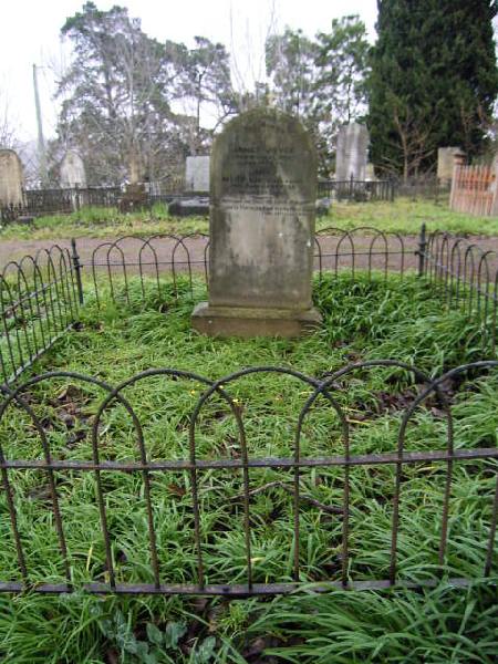 Full-size image