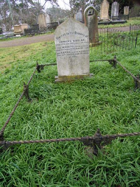 Full-size image