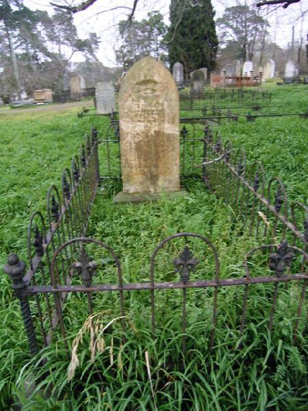 Full-size image