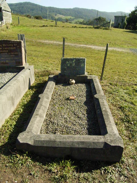 Full-size image