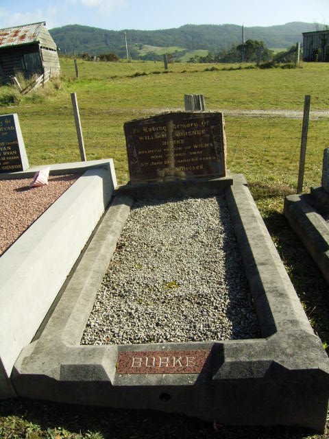 Full-size image