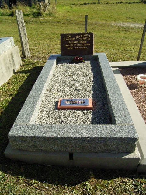 Full-size image