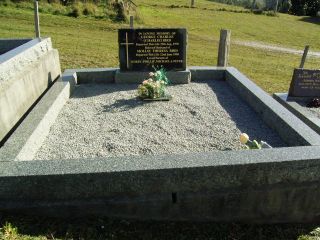 Full-size image