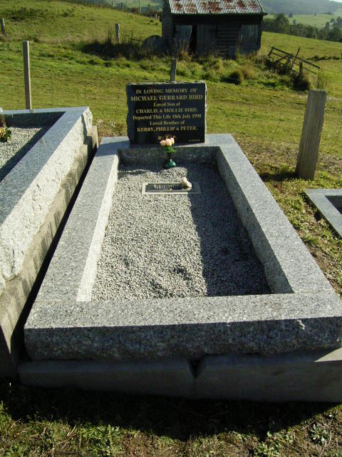 Full-size image