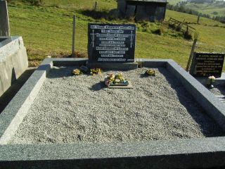 Full-size image