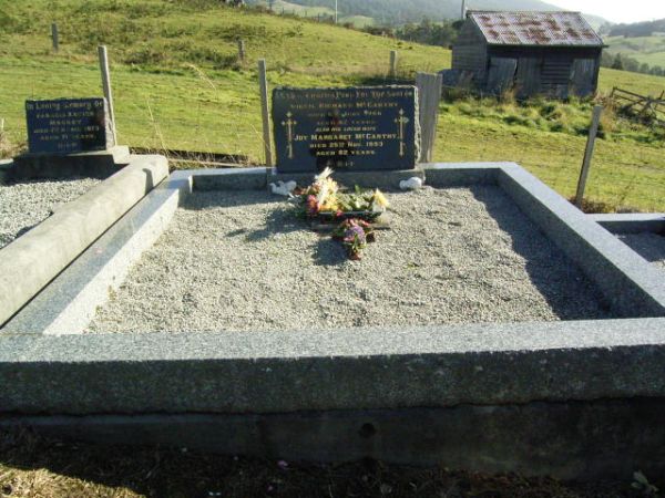 Full-size image