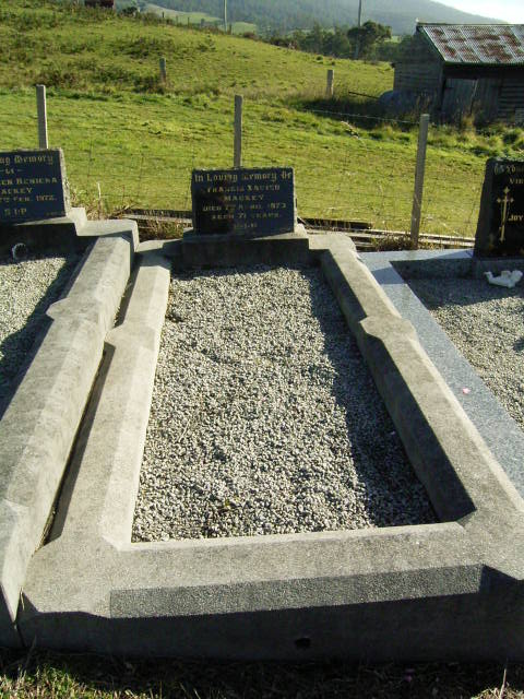 Full-size image
