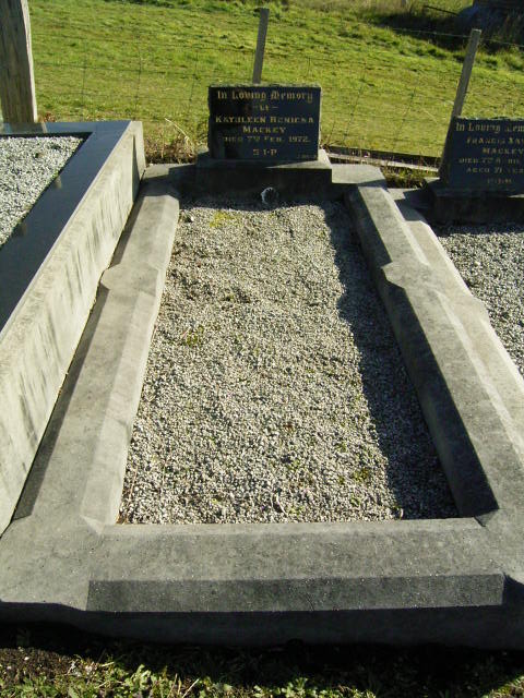 Full-size image