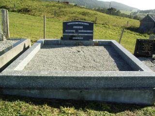 Full-size image