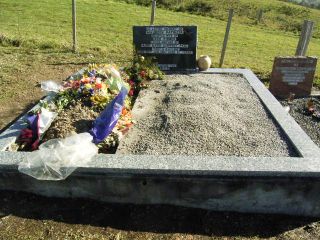 Full-size image