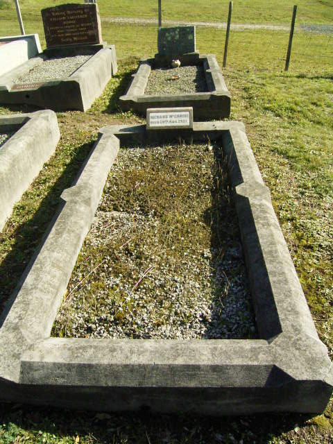 Full-size image