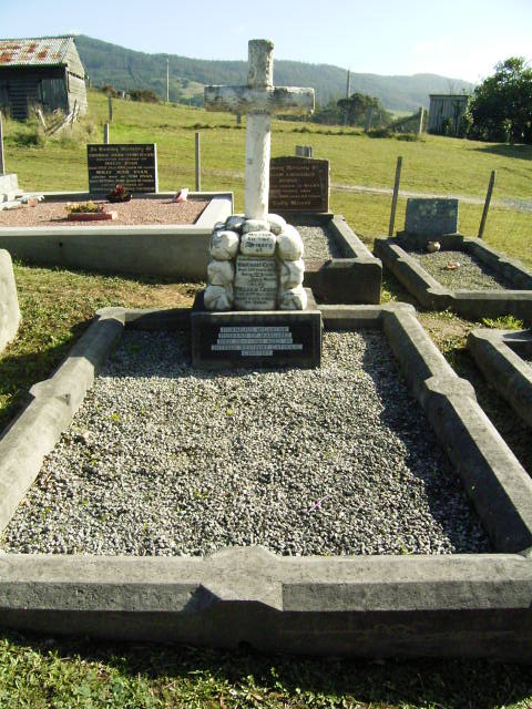 Full-size image