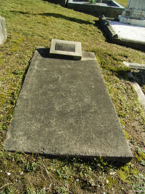 Full-size image