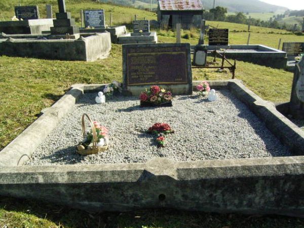 Full-size image