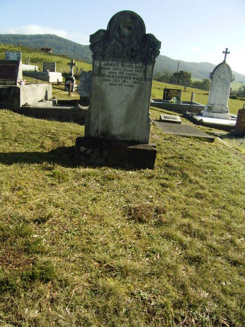 Full-size image