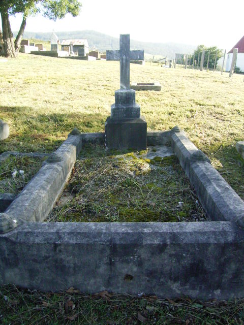 Full-size image
