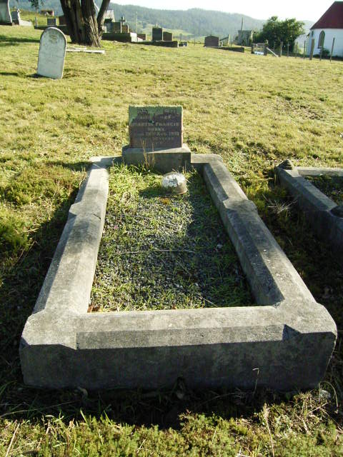 Full-size image