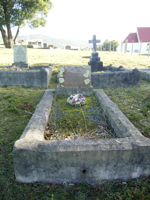 Full-size image