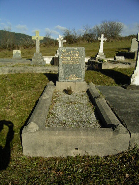 Full-size image