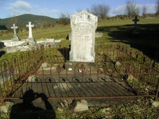 Full-size image