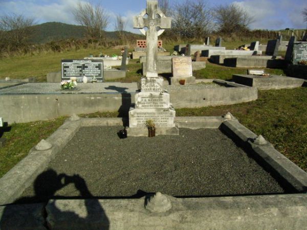 Full-size image