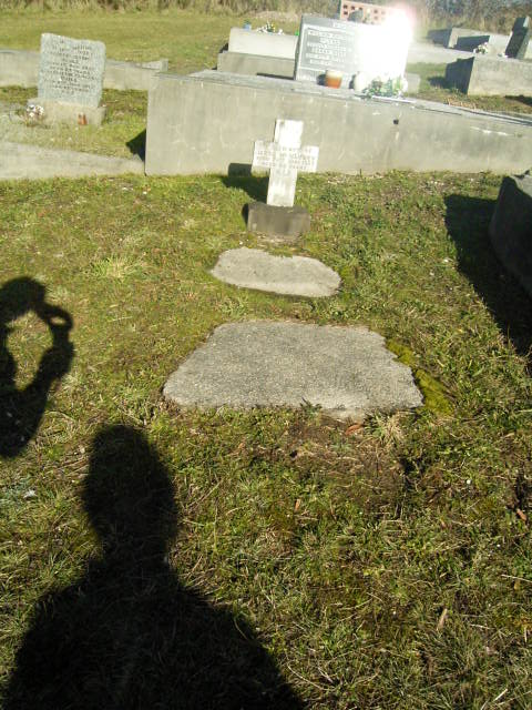 Full-size image