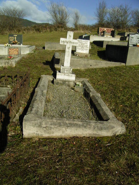 Full-size image