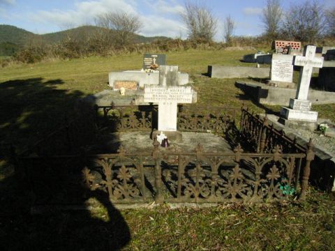 Full-size image