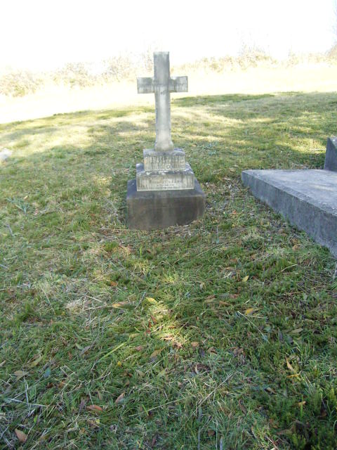Full-size image
